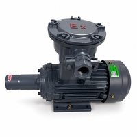 Vibrateur à béton antidéflagrant standard national, moteur à noyau de cuivre, monophasé 115/120V 2.2kW, modèle 3Y-90L