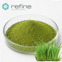 Poudre de jus d'herbe d'orge biologique de qualité alimentaire, prix en gros, poudre pure d'herbe d'orge pour smoothies/jus