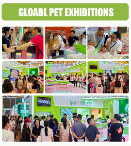 OEM-Fabrik Großhandel Günstiger Preis Individuelles Logo Duftverpackung Stark Klumpende Bentonit-Katzenstreu Spülbar - Product Image 5