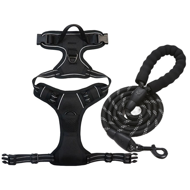 Black-chest harness + leash