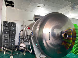 Sistema de Liofilización Automático WHFD-100 con Motor de 380V para Procesamiento Industrial de Alimentos y Producción de Plástico - Product Image 5