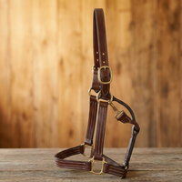 Harnais en cuir de qualité supérieure, élégant et raffiné pour chevaux, de Divine International