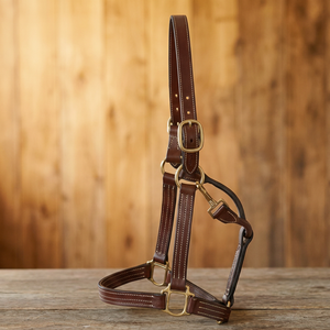 Cabestro de cuero premium para espectáculos ecuestres, elegante accesorio para caballos de Divine International - Product Image 1
