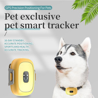 Dernier modèle de moniteur de santé pour animaux de compagnie TUYA App GPS 4G IP67 en nylon, localisateur, détecte l'exercice, les calories, l'état de sommeil, suivi d'activité pour animaux de compagnie