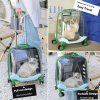 Transporteur avec fenêtres transparentes conception de couleur unie fermeture à glissière pour chiens chats voyage en plein air fermeture de transporteur poussette pour animaux de compagnie