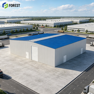 Estructura de Acero Galvanizado para Uso Industrial Pesado, Taller Prefabricado de Acero Estructural, Instalación de Producción de Espacio Abierto - Product Image 1