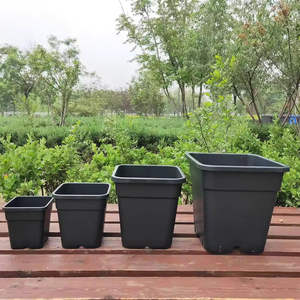Fabricant de petits pots carrés en PP pour plantes Pots de plantes en plastique bon marché Pots de plantes succulentes en <span class=keywords><strong>terre</strong></span> <span class=keywords><strong>cuite</strong></span> Vente directe - Product Image 5