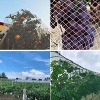 Filet de capture d'oiseaux en plastique HDPE pour la vente en gros agricole, bon marché, pour attraper les oiseaux