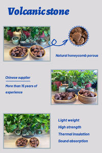 Piedra natural para plantas, piedra de grano carnoso, horticultura - Product Image 3