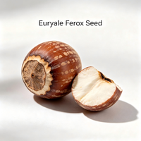 Noyau de Gorgone Séché Naturel (Euryales Semen) – Matière Première Végétale pour Complément Alimentaire, Extrait Cosmétique et Graine Comestible