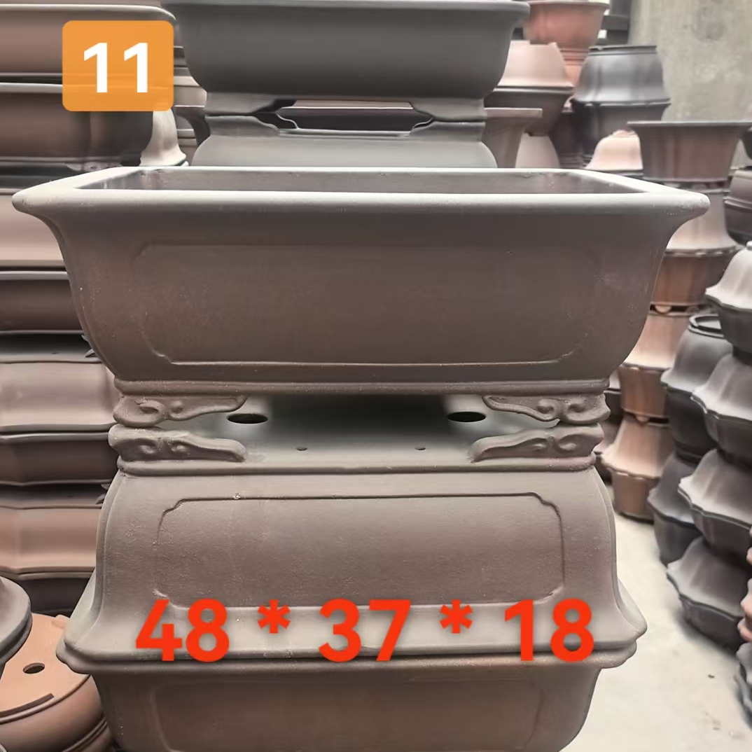 Brown 11