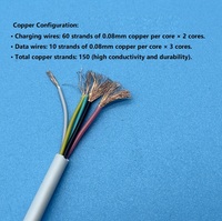 Cable de Carga Rápida ETERNALTARCABLE PD60W OD3.5MM 60W PD Tipo-C a Tipo-C, PVC Ecológico, 1M 2M, Disponible en Blanco y Negro