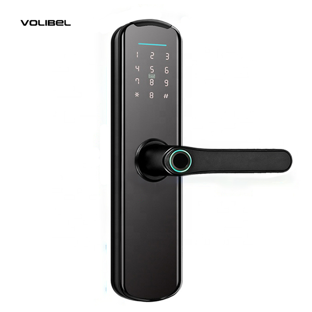 Fingerprint Automatic Remote Waterproof Small Ttlock Wooden Smart Security Eletronic Home Key Pad Card Reader Rfid Door Lock
