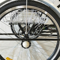 Vente chaude 2021 Tricycle adulte d'occasion Tricycle cargo à vendre Triciclo-adulto-segunda-m Vélo cargo hollandais à 3 roues Vélo pour enfant