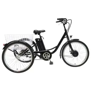 TXED hot selling city <span class=keywords><strong>3</strong></span> <span class=keywords><strong>ruote</strong></span> cargo bike 250W triciclo elettrico <span class=keywords><strong>bicicletta</strong></span> elettrica - Product Image 3