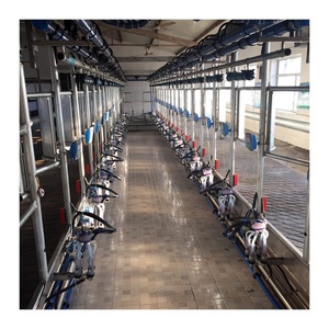 Attrezzatura per Sala di Mungitura a Spina di Pesce Serie 9JY per Allevamenti di Bovini in Vendita - Product Image 5