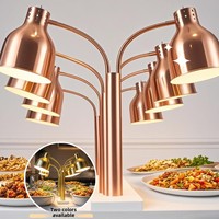 Lampe chauffante portable commerciale, modèle de bureau fixe, en cuivre doré, pour réchauffer les aliments, 500W, double tête, pour buffet, restaurant