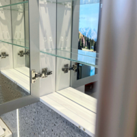 Armoire de salle de bain moderne avec miroir LED éclairé, design élégant, fixation murale, double porte, avec rangement