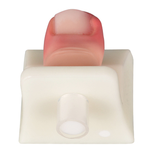 Modelo de técnica de eliminación de uñas de los pies, modelo de silicona - Product Image 3