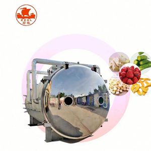 Lyophilisateur Machine 100 Kg Lyophilisateur Machine Lyophilisateur Grande Machine - Product Image 3