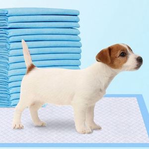 Tapis absorbant imperméable jetable pour animaux de compagnie, tapis d'apprentissage pour chiots, couche pour chien - Product Image 1
