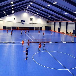 Trung Quốc Nhà Máy Chất Lượng Cao 30.3Cm X 30.3Cm Chất Lượng Cao Dài Sử Dụng Thời Gian Lồng Vào Nhau Con Lăn Inline Sàn - Product Image 3