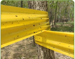 Bán buôn bò côn trùng màu vàng bay Keo Bẫy cây ăn quả kiểm soát dịch hại Băng Fly Trap Băng - Product Image 6