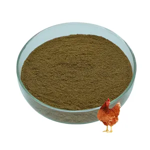 Mangime per animali Appetite attrattivo sapore di frutti di mare in polvere per pollo Tilapia gialla mangime per pesci Spirulina mangime per pesci piatto grado superiore