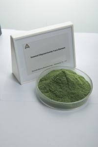 <span class=keywords><strong>Engrais</strong></span> Bio Organique Agricole pour la Promotion de l'Enracinement des Plantes Ascophyllum <span class=keywords><strong>Poudre</strong></span> d'<span class=keywords><strong>Algues</strong></span> Organique Naturelle Biostimulant Oligo-éléments - Product Image 2