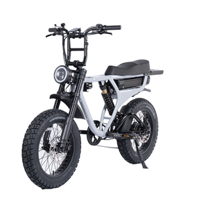<span class=keywords><strong>Vélo</strong></span> électrique de montagne 20 pouces avec suspension, pneus larges, batterie au lithium 52V 1000W, moteur à moyeu arrière sans balais, moteur sans balais, <span class=keywords><strong>vélo</strong></span> Unikride pour la neige - Product Image 1