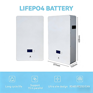 Wall-<b>Mounted</b> Hybrid Grid LiFePO4 Household Energy Storage <b>Battery</b> with IP54 Protection and 10kWh Capacity - Product Image 1