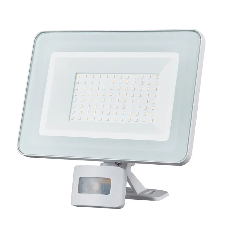 Slanke Draagbare Flexibele Zonne-Energie Fittingen Geschikt Voor Buiten Frosted Helder Glas Waterdicht Hoog Lumen Led-Schijnwerper