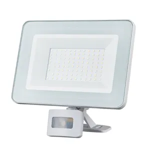 Slim Portable Solar Flexible Fittings Suited Outdoor Frosted Clear Glass Waterproof High Lumen Led Flood Light