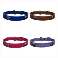 Collier pour chien transfrontalier motif patte, nouveau design coréen, en polyuréthane, pour animaux de compagnie de loisirs, collier de cou pour petites, moyennes et grandes races, Teddy