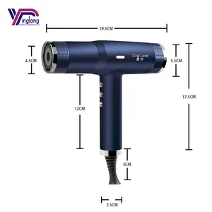 Professional Salon 2200W Hair Dryer High-Speed With Low Noise