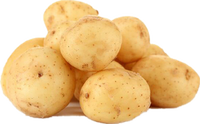 Poudre d'extrait de pomme de terre en vrac naturelle 90% Isolat de protéine de pomme de terre