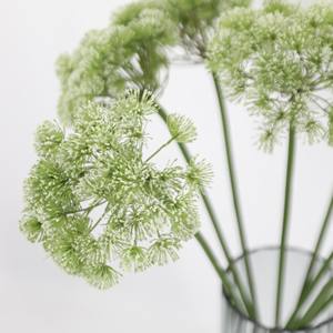C435 2025 nouveau Style vert dentelle artificielle fleurs carotte sauvage grande fleur Style naturel décoration de mariage <span class=keywords><strong>Allium</strong></span> - Product Image 1