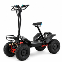 Scooter Électrique Tout-Terrain Quad à 4 Roues Pliables 4000W, Conception Abordable Direct Usine, avec Certification CE