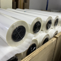 Film de transfert thermique DTF personnalisé Qinyu, impression numérique de logos, rouleaux de films pour textiles, designs durables pour transfert sur t-shirts