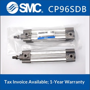   Cilindro Magnetico Regolabile Standard CP96SDB32 40 50 63 80 100 - Product Image 5
