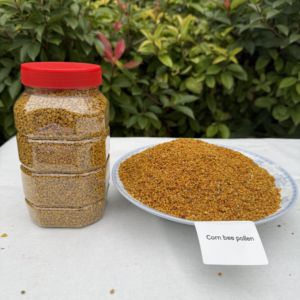 <span class=keywords><strong>Polen</strong></span> de Maíz a Granel de Grado Alimenticio - Stock Fresco Directo de Fábrica, Tamaños de Bolsas/Botellas Personalizados y Muestras Gratis - Product Image 4