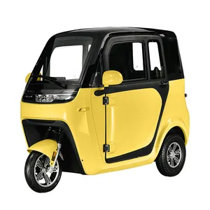 New Fully Enclosed 3 Wheels Electric Car Mobility Scooter With 2-3 Seats