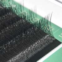 GLAMLASH 4D Extensions de cils de volume préfabriquées en forme de W 12 rangées d'éventails faits à la main par vente en gros