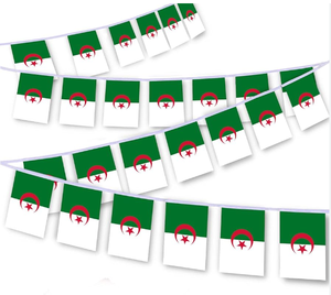 Bandera Nacional de Argelia de Alta Calidad Personalizada <span class=keywords><strong>para</strong></span> el Día del Partido de Fútbol 2026, Bandera de Jardín, Cubierta <span class=keywords><strong>para</strong></span> Capó de Coche, Precio Bajo al por Mayor - Product Image 3
