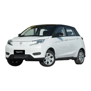 2023 Hot Sale Best New Energy Vehicles Electric Car Adult New Car YOUNG XIAO XIN New Energy Vehicle