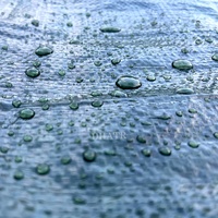 Bâche PE polyvalente verte et bleue personnalisée, tissu en plastique tissé, imperméable, Poly bâche de camion, couverture d'abri de voiture, feuille de tente