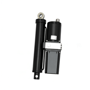 Mini vérin hydraulique électrique TGH40-203X en fonte robuste pour équipement de levage - Product Image 1