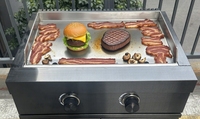 Grill à gaz propane encastrable de 29 pouces avec plaque de cuisson moderne en acier inoxydable 304 de qualité supérieure, portable, pour cuisine extérieure