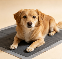 Almohadillas de Entrenamiento para Cachorros Súper Absorbentes con Control de Olores, Almohadillas de Carbón para Mascotas con Adhesivo Antideslizante