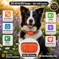 Traceur GPS 4G personnalisé pour animaux de compagnie G51 OEM ODM, étanche IP67, pour chiens et chats, solution complète, usine de personnalisation
